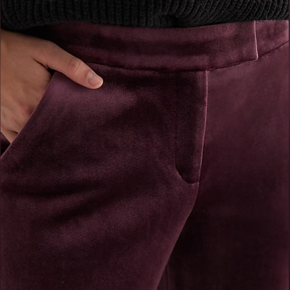 EXPRESS: Mid-Rise Velvet Relaxed Trousers - Picture 5 of 10